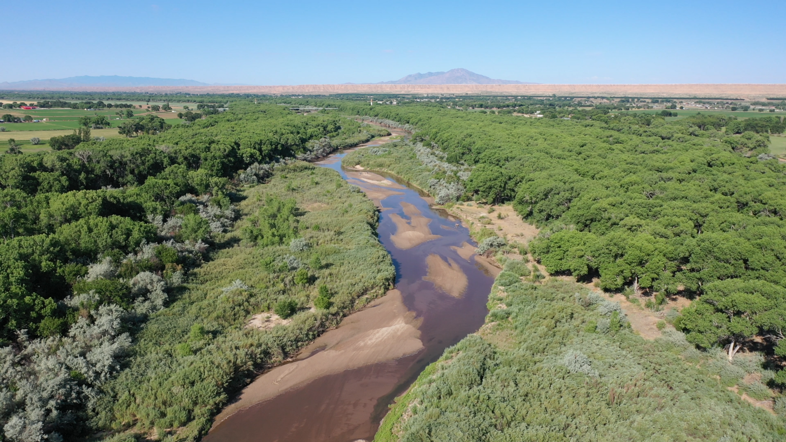 The Rio Grande near Belen, New Mexico. 