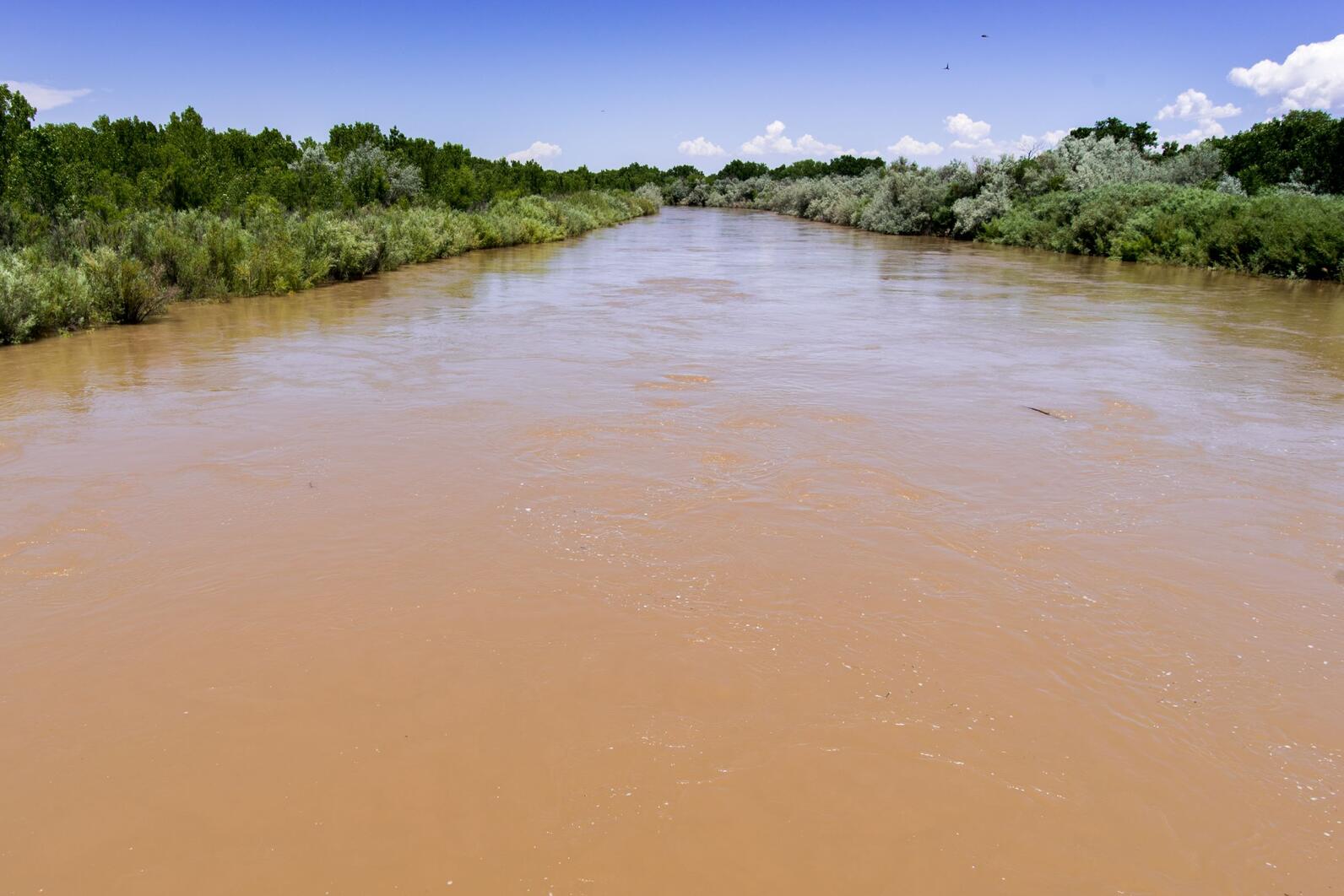 The Rio Grande at Bernardo in late June of 2019